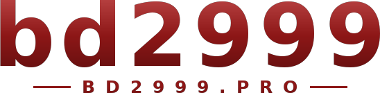 bd2999 logo